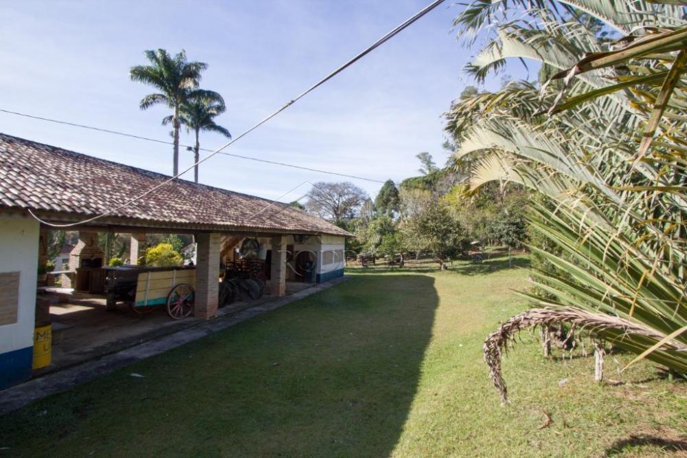 Rural misto à venda por R$ 4.500.000,00 - Lagoinha/SP