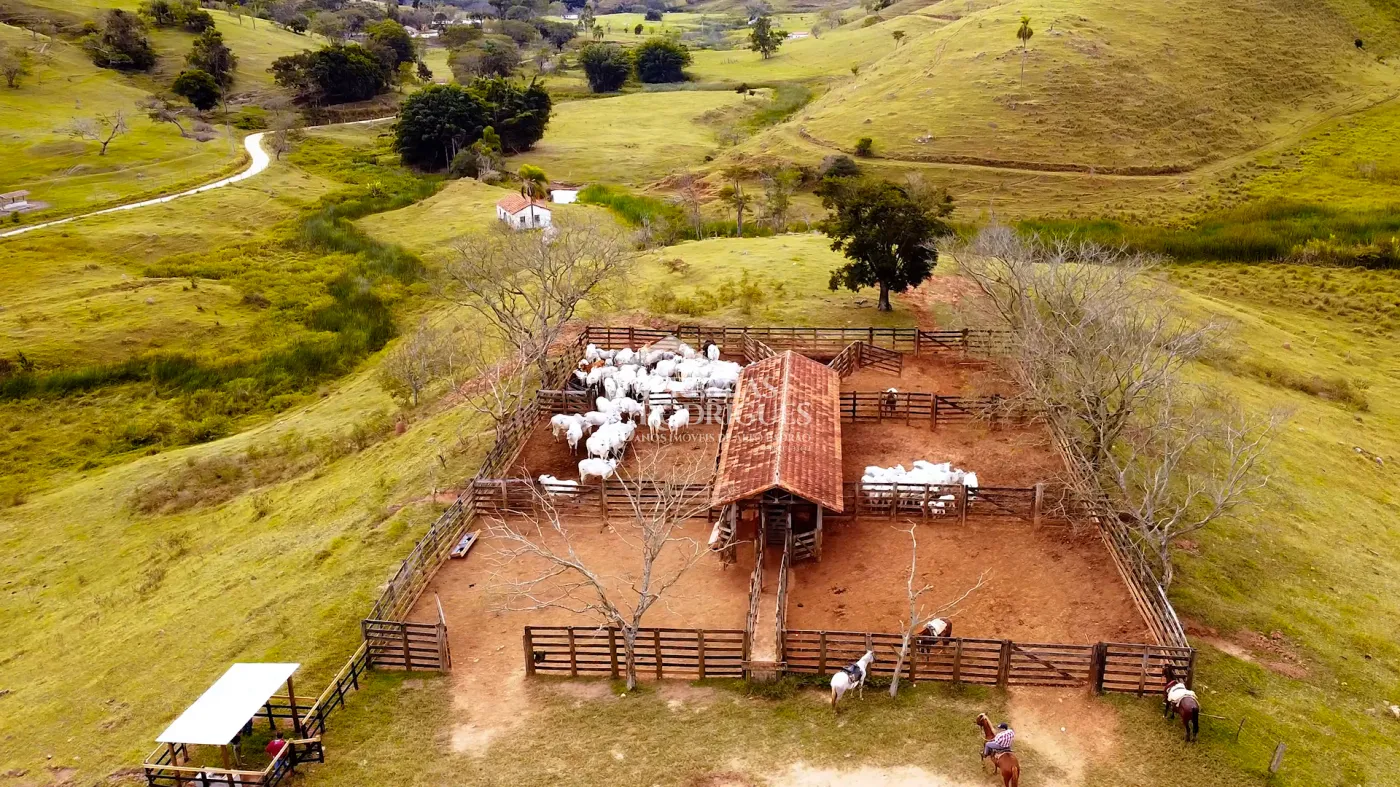 Fazenda à venda com 2.544 hectares em Santa Branca/SP.