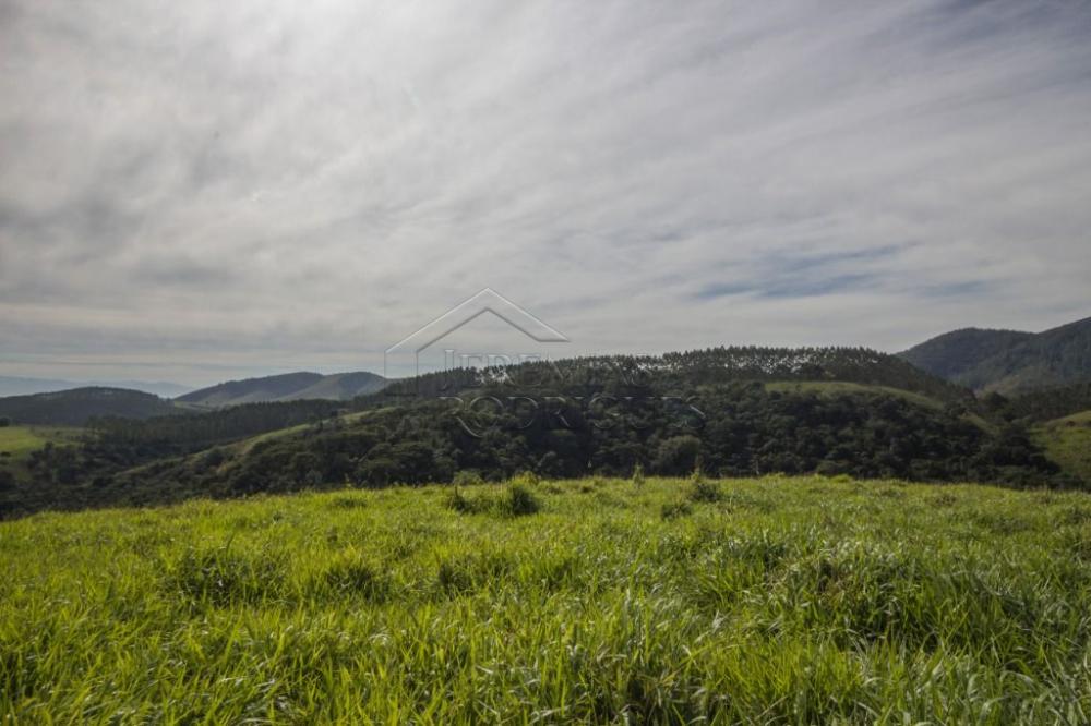 Rural misto à venda por R$ 20.000.000,00 - Roseira/SP