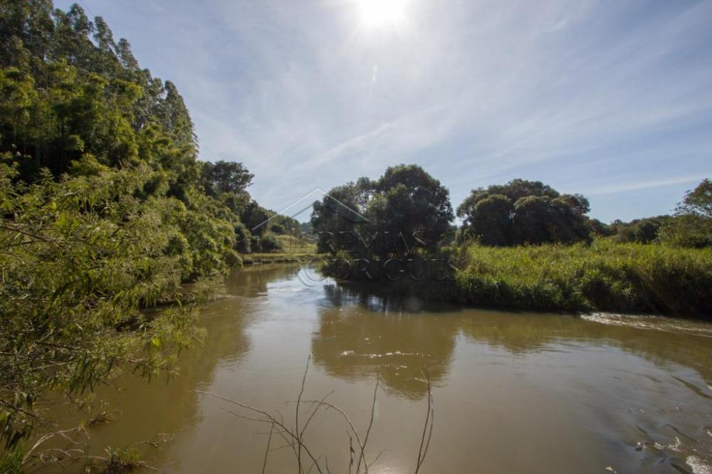 Rural misto à venda por R$ 4.500.000,00 - Lagoinha/SP