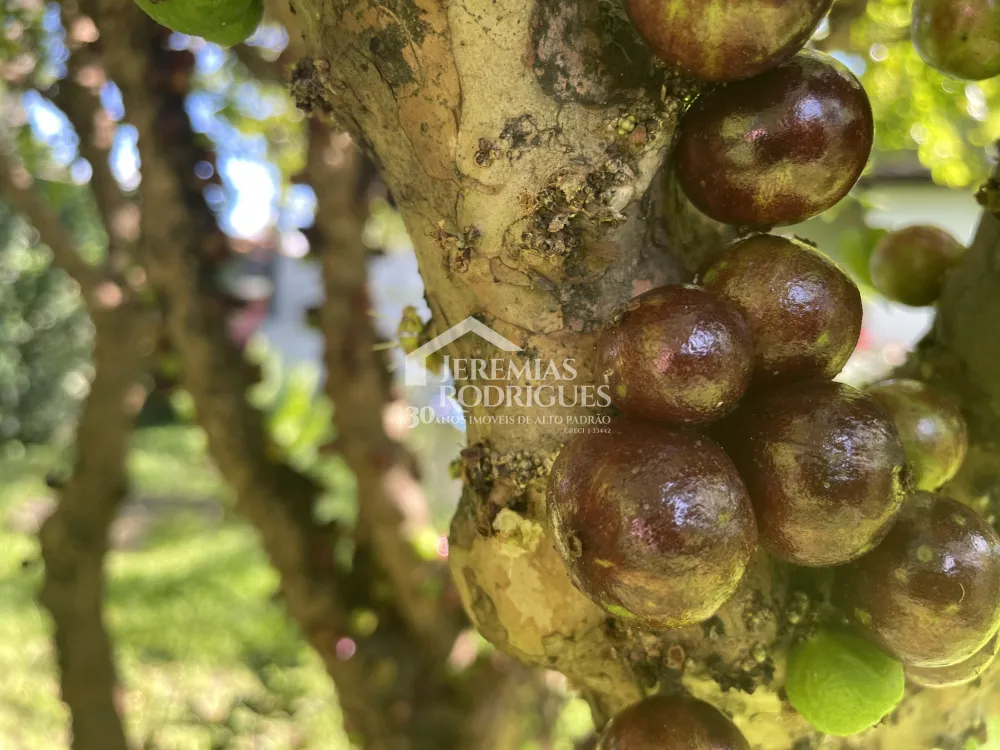 Chácara com 3 quartos, 3.901 m² - Sapé I - Caçapava/SP