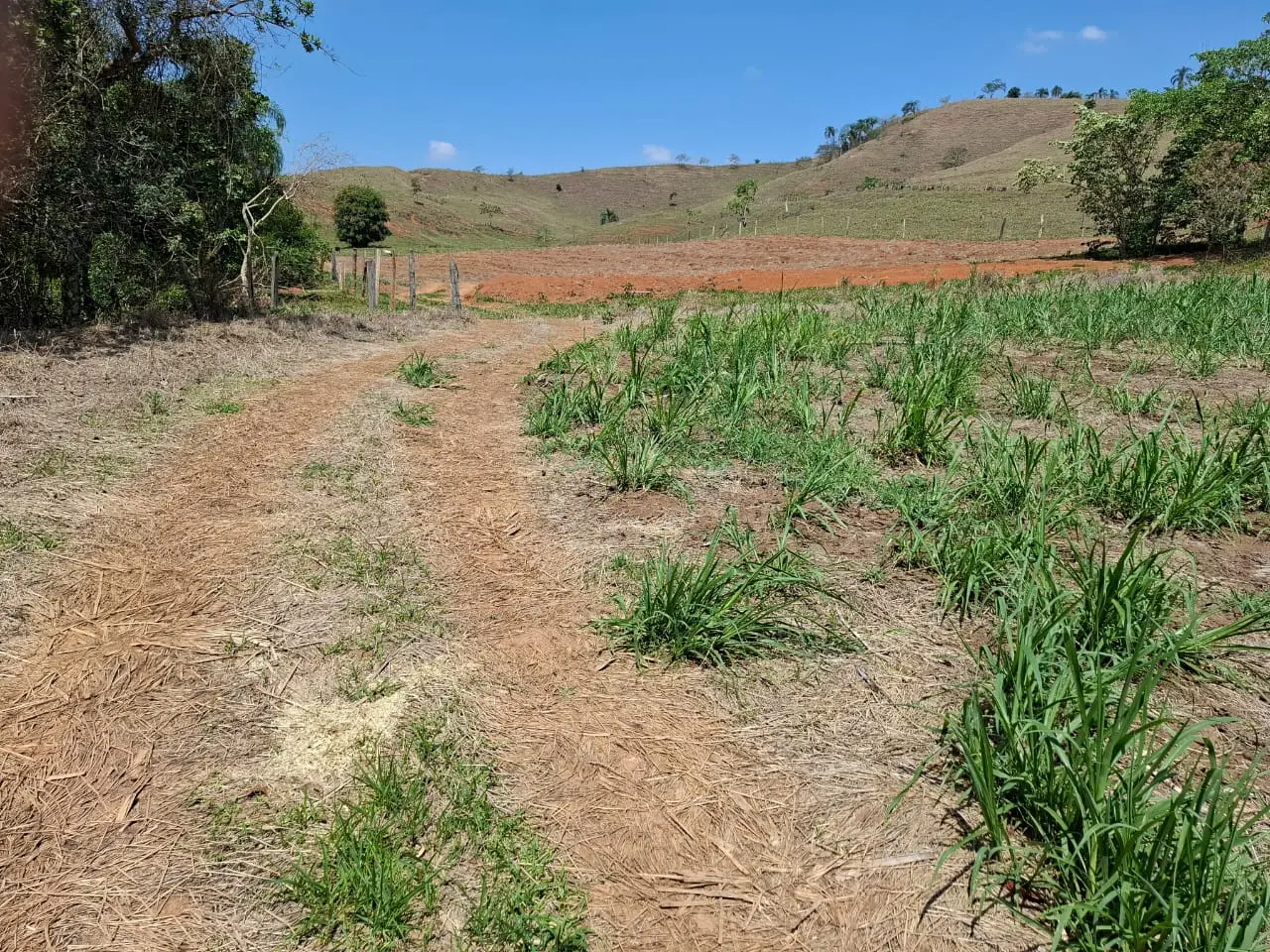 Fazenda à venda com 60 alqueires em Lorena/SP. 