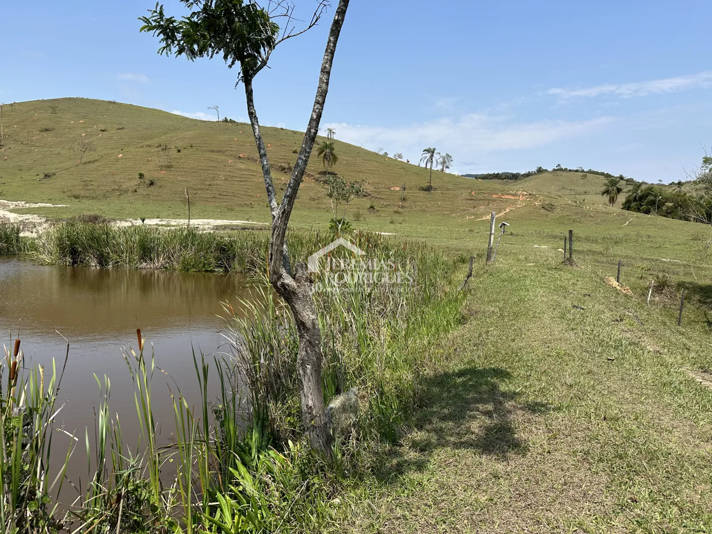 Fazenda à venda em Lorena/SP