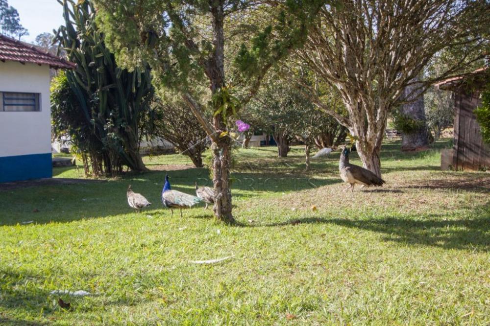 Rural misto à venda por R$ 4.500.000,00 - Lagoinha/SP