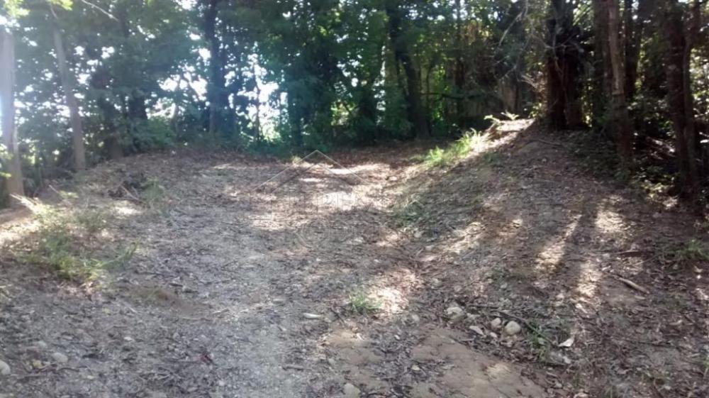 Rural misto à venda por R$ 1.500.000,00 - Pindamonhangaba/SP