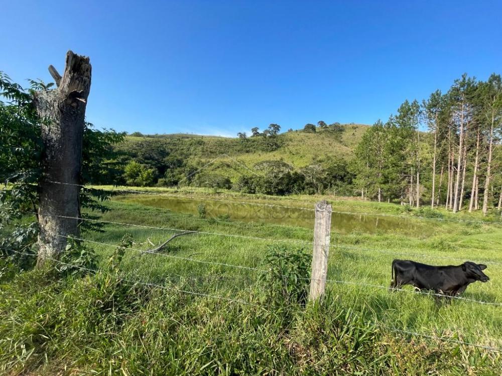 Fazenda à venda em Cunha/SP