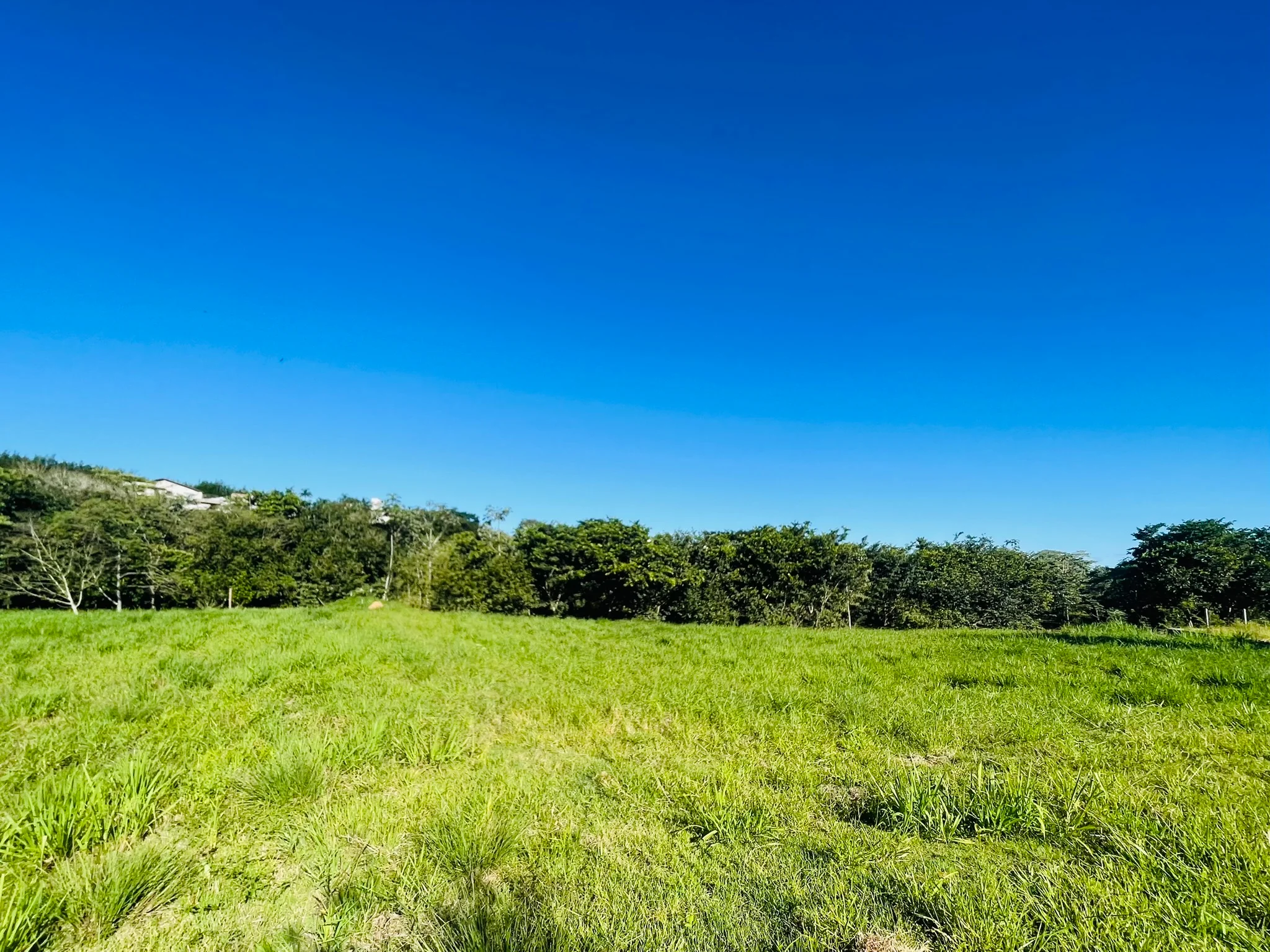 Terreno à venda com 1.500 m² no Condomínio Village da Serra em Tremembé/SP