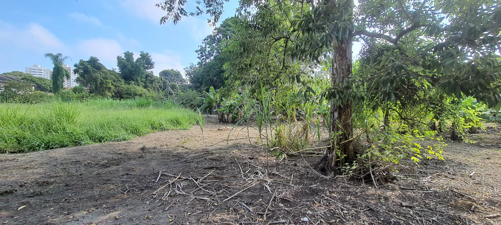 Área à venda no bairro Vila São Geraldo em Taubaté/SP