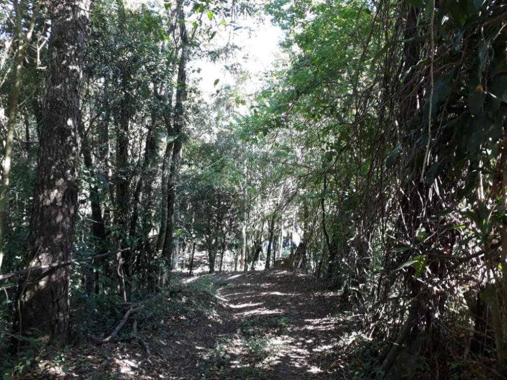 Rural misto à venda por R$ 1.500.000,00 - Pindamonhangaba/SP