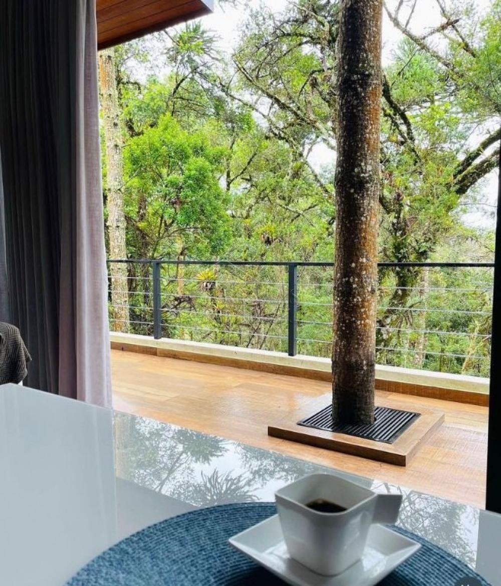 Linda Mansão em Campos do Jordão