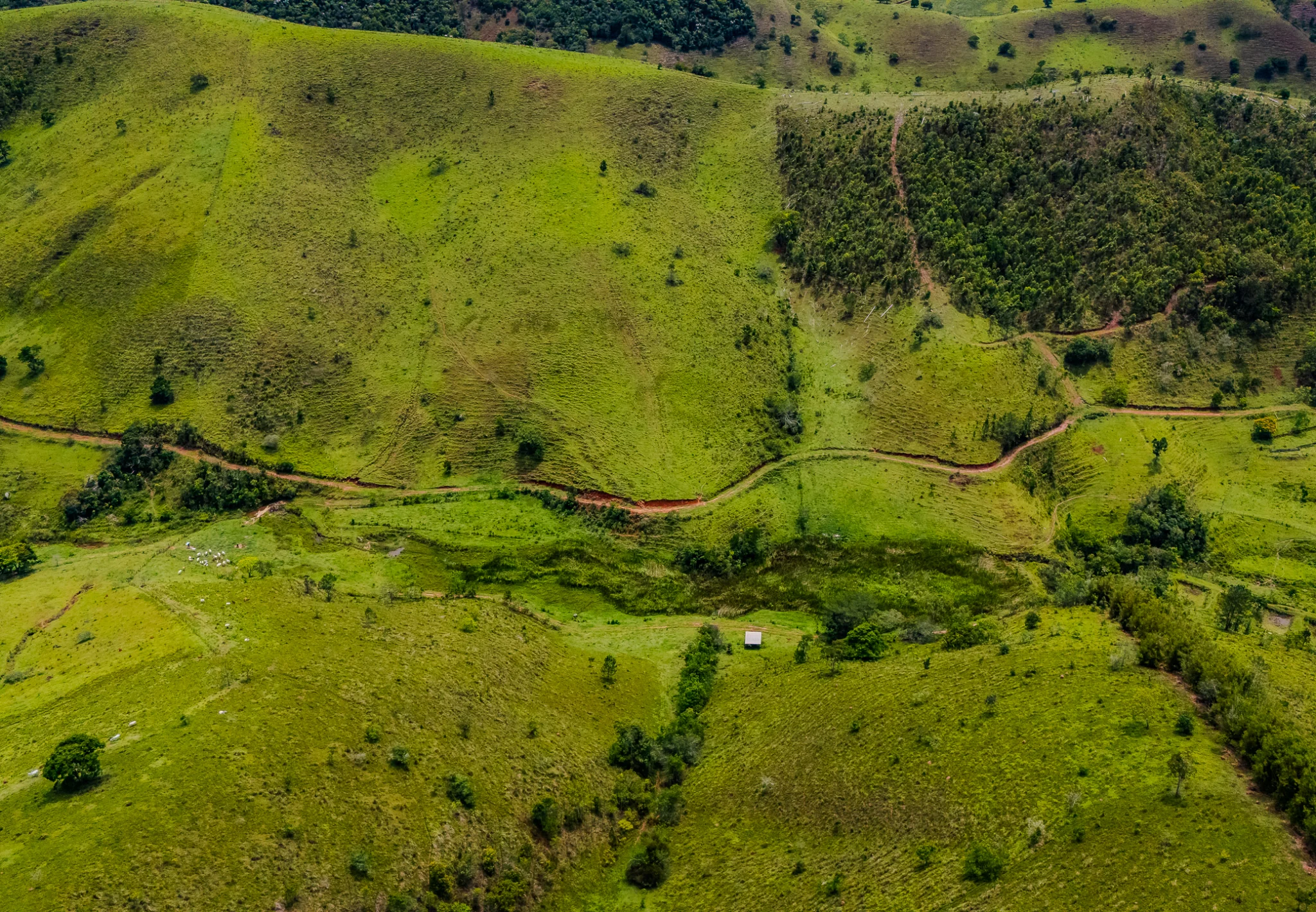 Fazenda à venda com 80 Alqueires em Redenção da Serra/SP. 