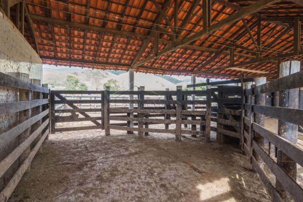 Rural misto à venda por R$ 20.000.000,00 - Roseira/SP