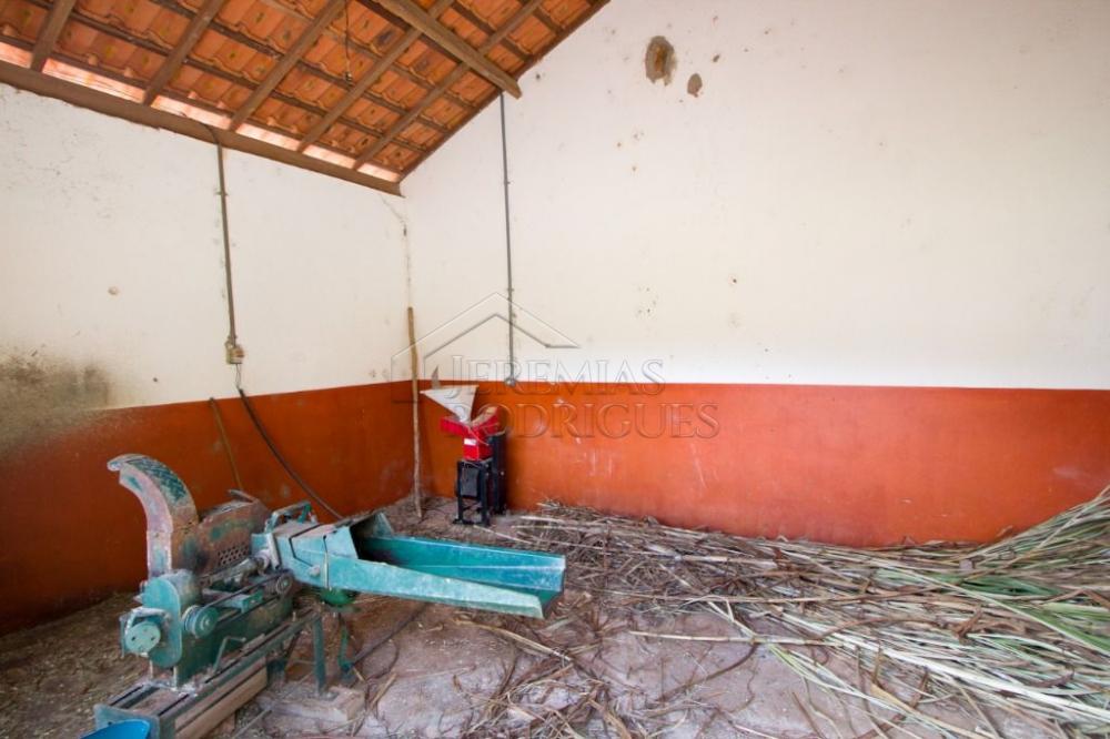 Fazenda com 4 dormitórios à venda, 968.000 m² - Lagoinha/SP