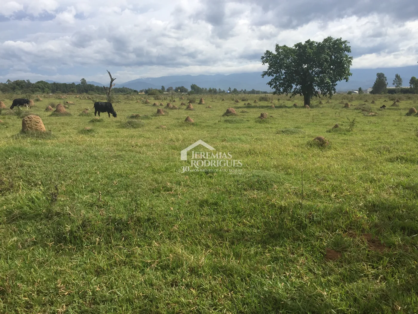 Terreno com 800.000 m² - Feital - Pindamonhangaba/SP.