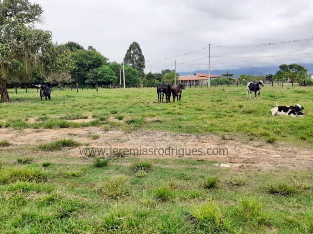 Rural misto à venda por R$ 2.000.000,00 - Pindamonhangaba/SP