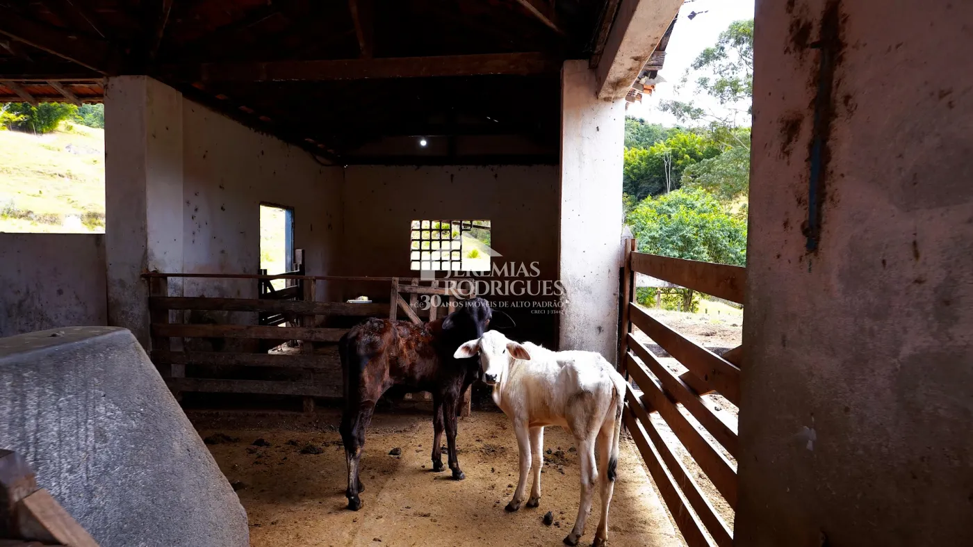 Fazenda à venda com 2.544 hectares em Santa Branca/SP.