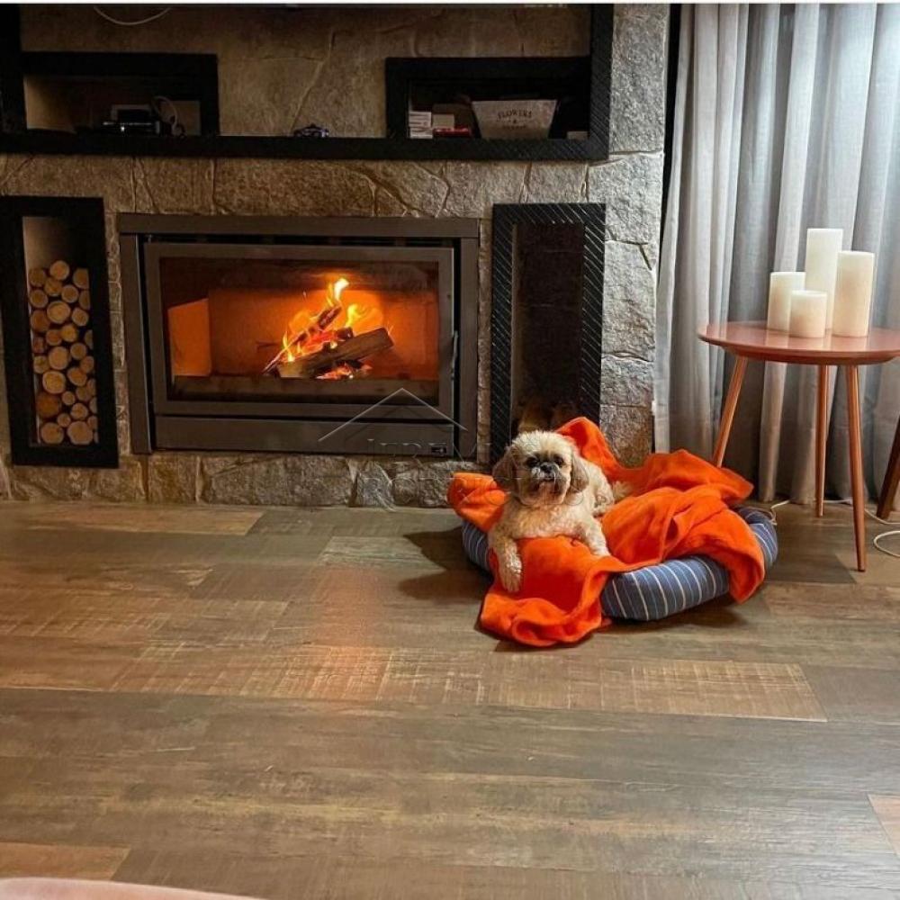 Linda Mansão em Campos do Jordão