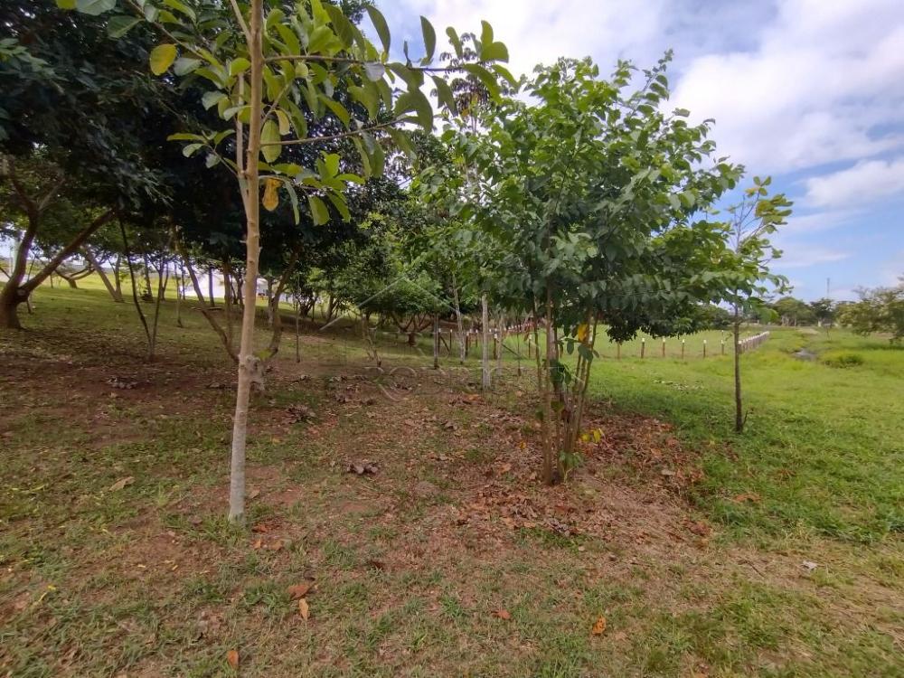 Terreno residencial à venda por R$ 745.000,00 - Taubaté/SP