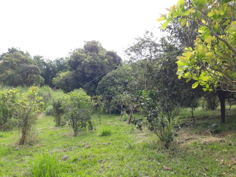 Sitio com 3 dormitórios, 250 m² - Bom sucesso - Pindamonhangaba/SP