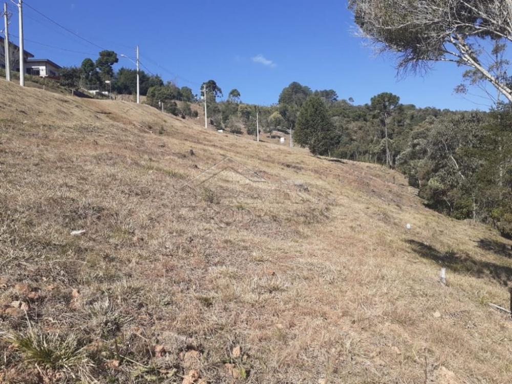 Terreno residencial à venda por R$ 1.000.000,00 - Campos do Jordão/SP