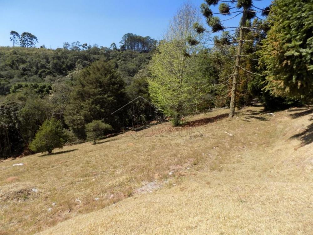 Terreno residencial à venda por R$ 850.000,00 - Campos do Jordão/SP