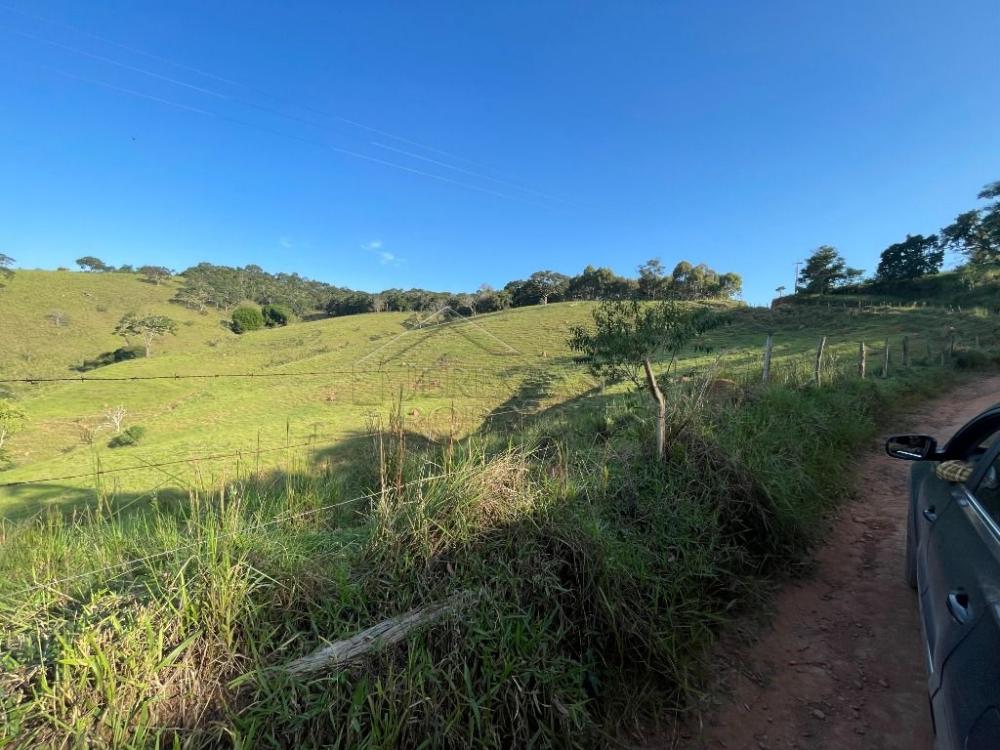 Fazenda à venda em Cunha/SP