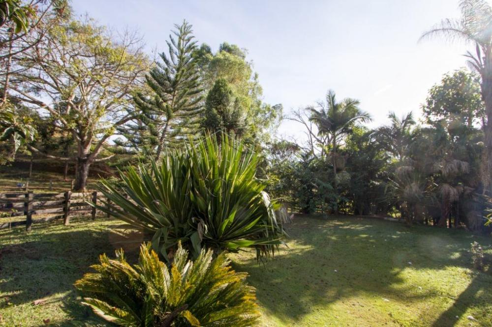 Rural misto à venda por R$ 4.500.000,00 - Lagoinha/SP