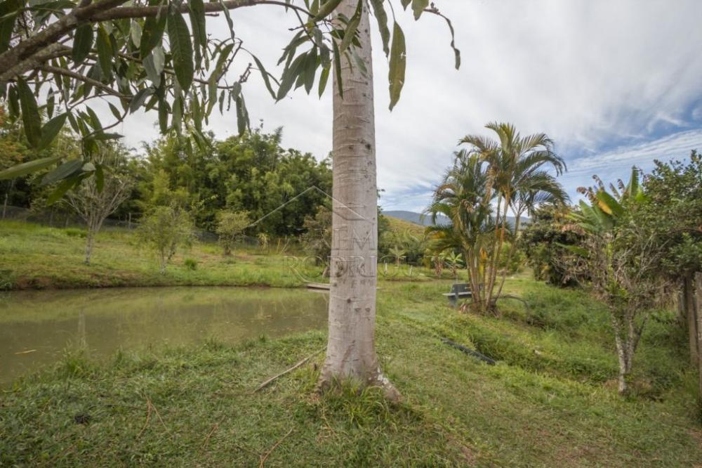 Rural misto à venda por R$ 20.000.000,00 - Roseira/SP