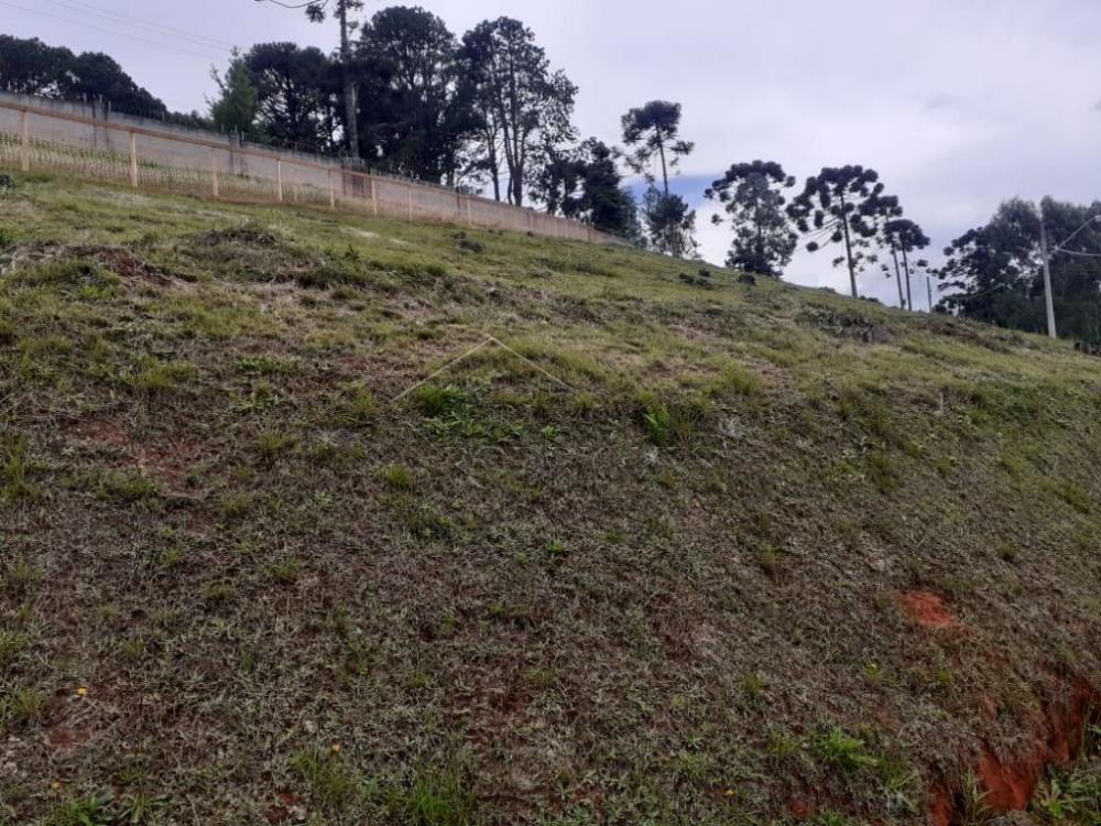 Terreno residencial à venda por R$ 1.350.000,00 - Campos do Jordão/SP
