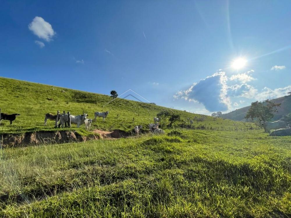 Fazenda à venda em Cunha/SP