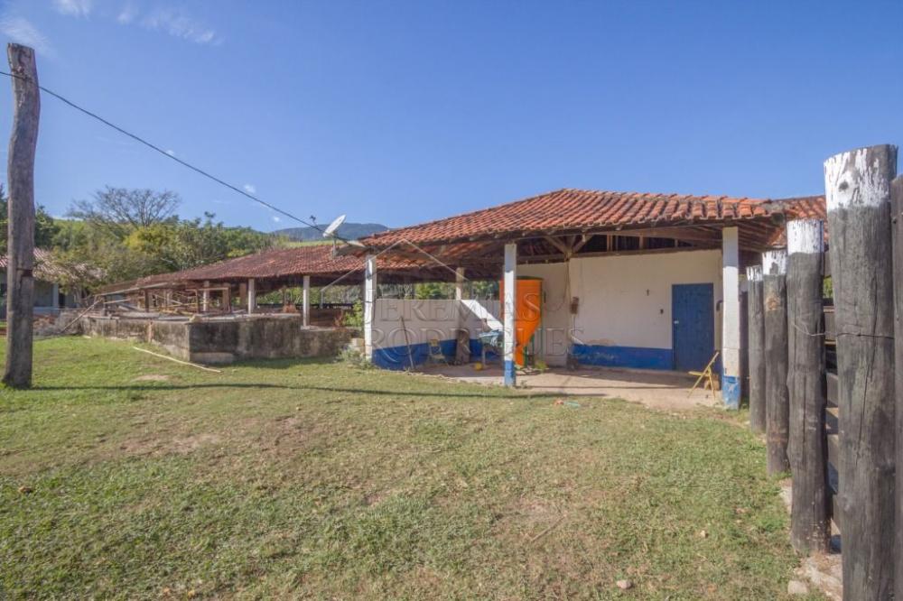 Rural misto à venda por R$ 20.000.000,00 - Roseira/SP