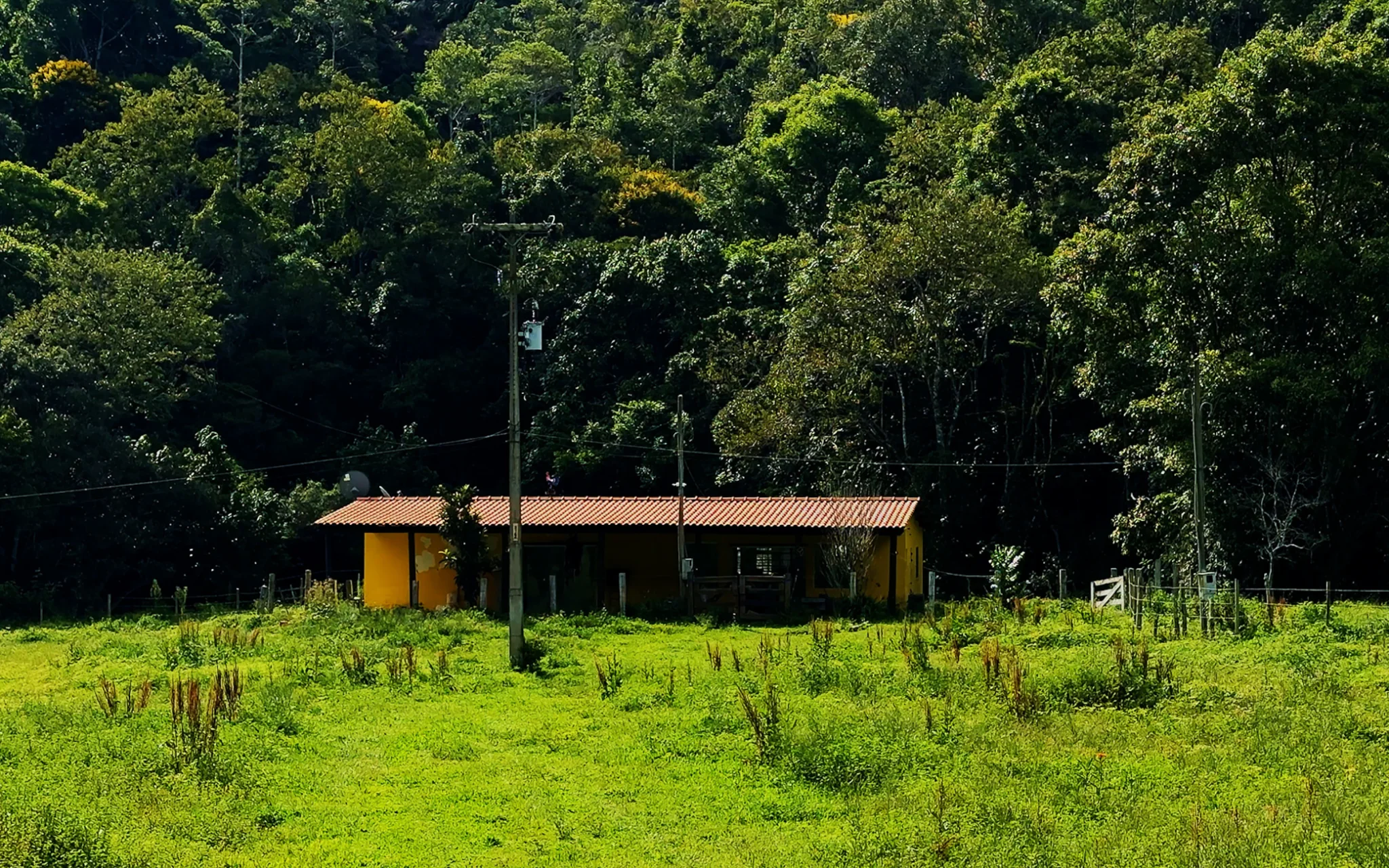 Fazenda à venda com 78 hectares em São José do Barreiro/SP. 