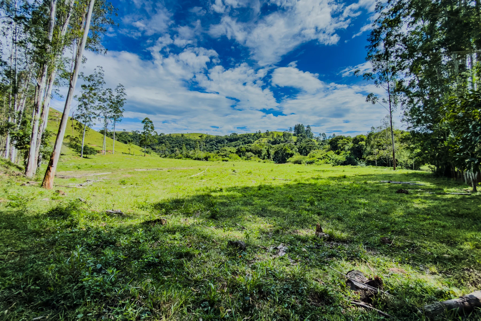 Fazenda á venda com 240 hectares em Cunha/SP. — foto 7