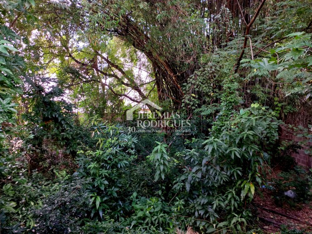 Espetacular casa térrea com piscina, quintal amplo e ótima localização - Pindamonhangaba/SP
