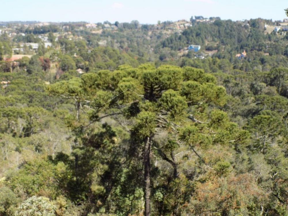 Terreno residencial à venda por R$ 1.150.000,00 - Campos do Jordão/SP