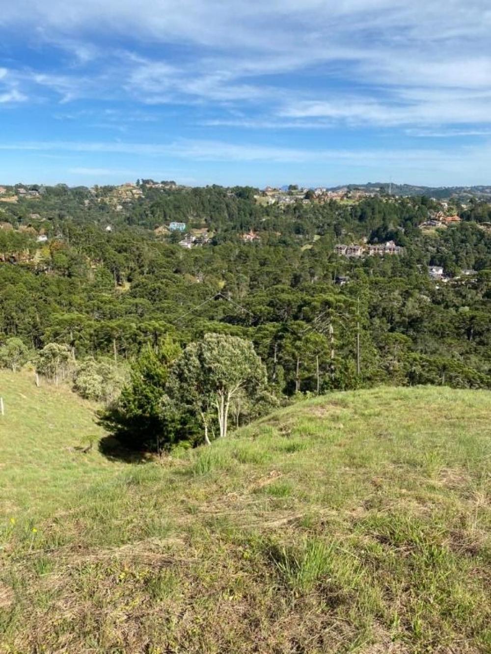 Terreno residencial à venda por R$ 1.600.000,00 - Campos do Jordão/SP