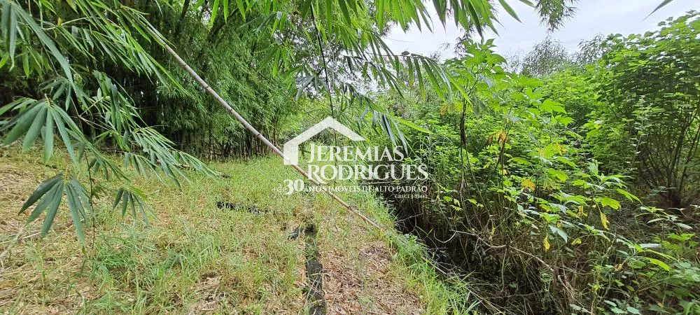 Terreno misto de 24627 m² à venda por R$ 5.390.000,00 - Taubaté/SP