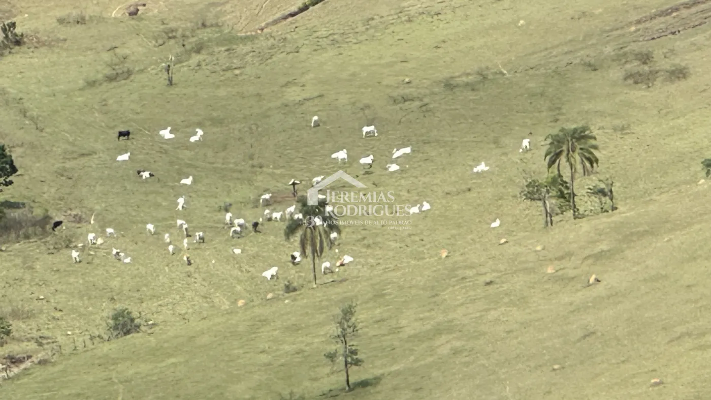 Fazenda à venda em Lorena/SP