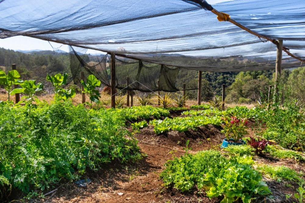 Sítio com 7 quartos, 38 hectares - Cachoeira Grande - Lagoinha/SP
