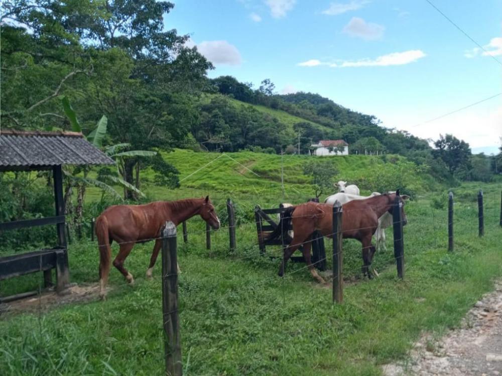 Fazenda à venda em Pindamonhangaba/SP