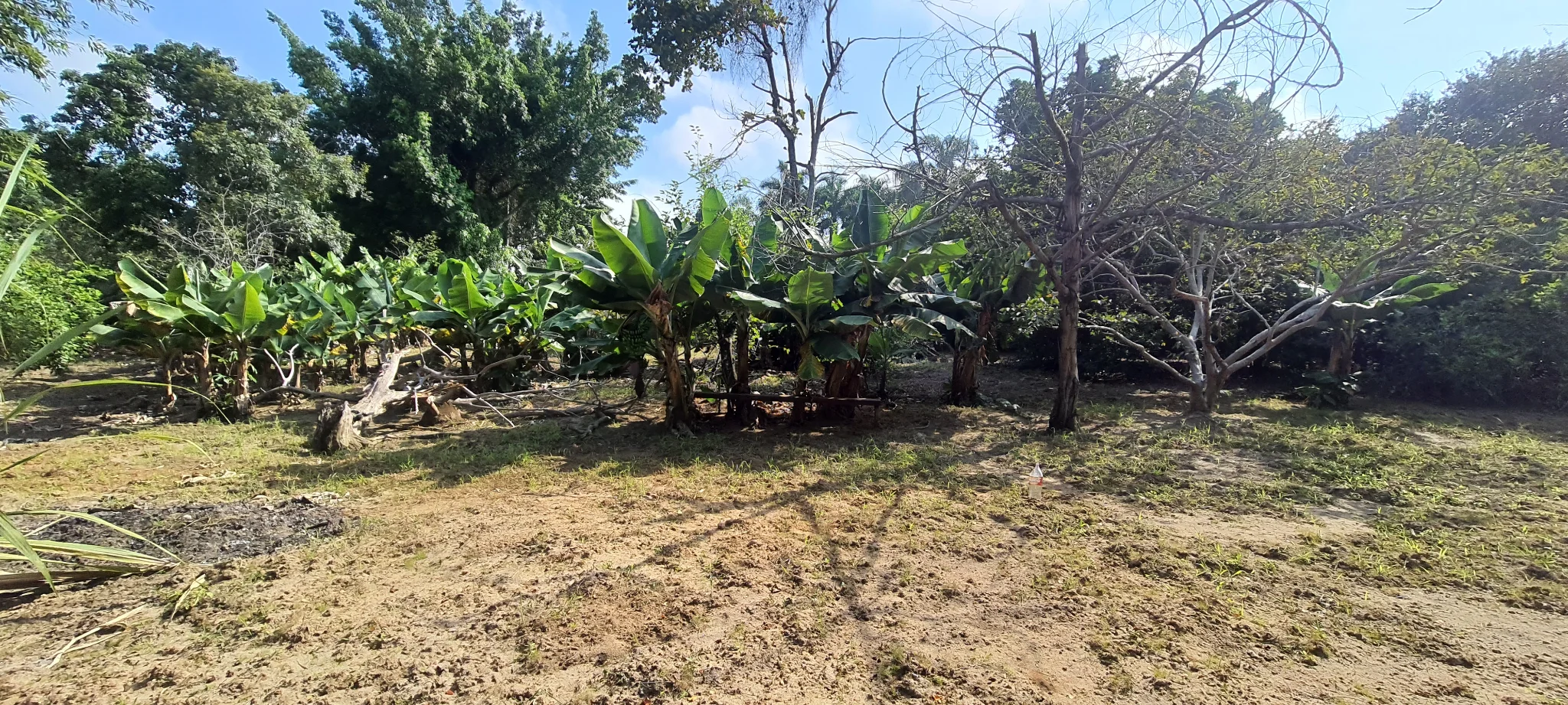 Área à venda no bairro Vila São Geraldo em Taubaté/SP