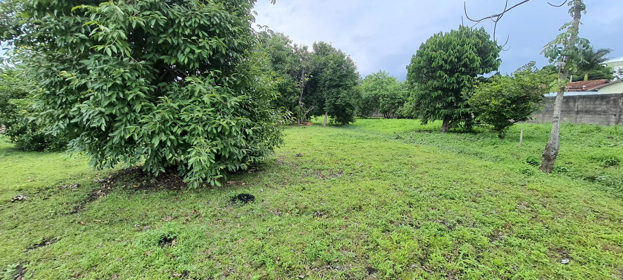 Área à venda com 7.620 m² no bairro Areão em Taubaté/SP. 