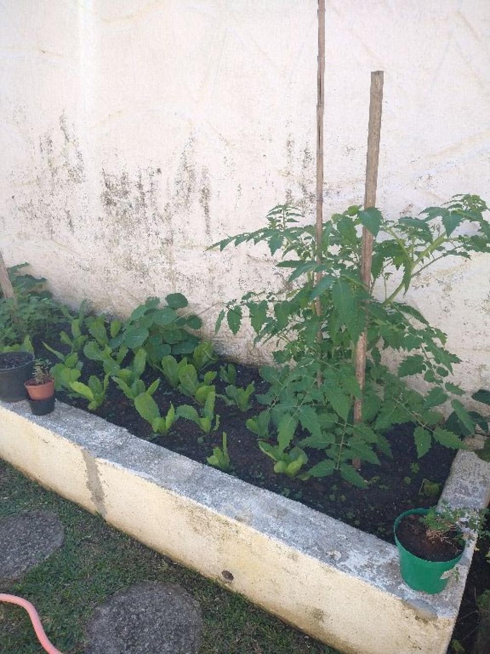 Casa à venda por R$ 1.790.000,00 - Tremembé/SP