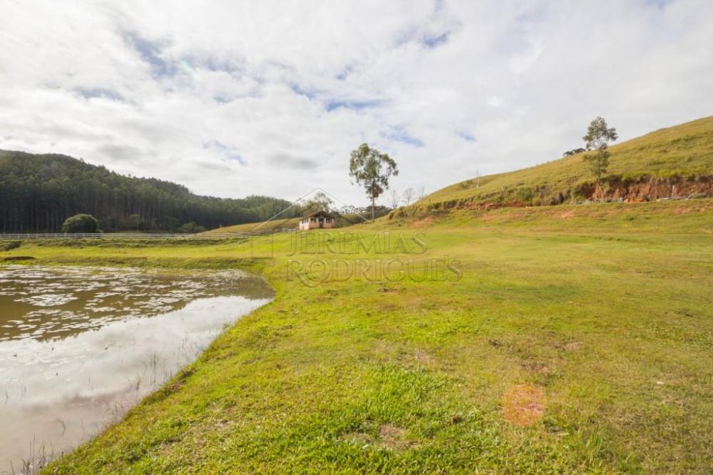Fazenda com 4 dormitórios à venda, 968.000 m² - Lagoinha/SP
