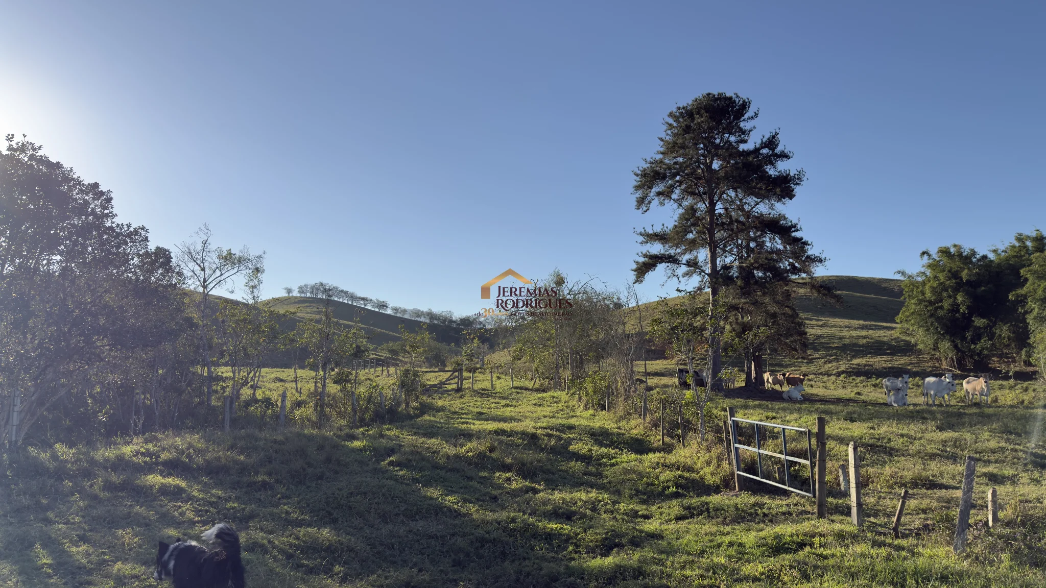 Fazenda à venda em Tremembé/SP. — foto 21