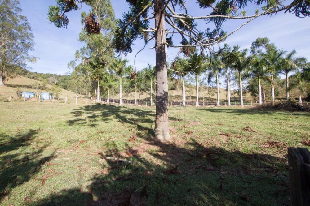 Rural misto à venda por R$ 4.500.000,00 - Lagoinha/SP