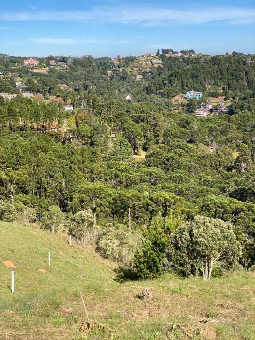 Terreno residencial à venda por R$ 1.600.000,00 - Campos do Jordão/SP