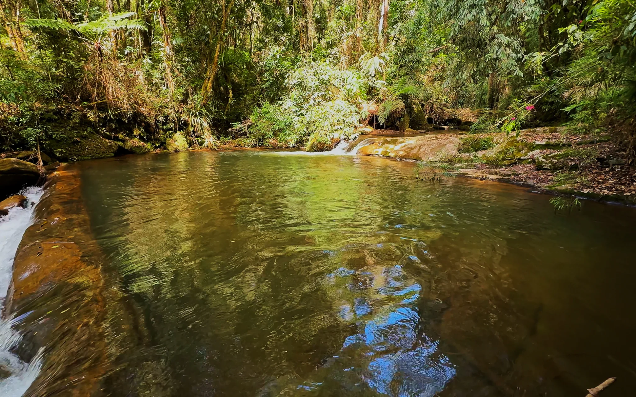 Fazenda à venda com 78 hectares em São José do Barreiro/SP. 