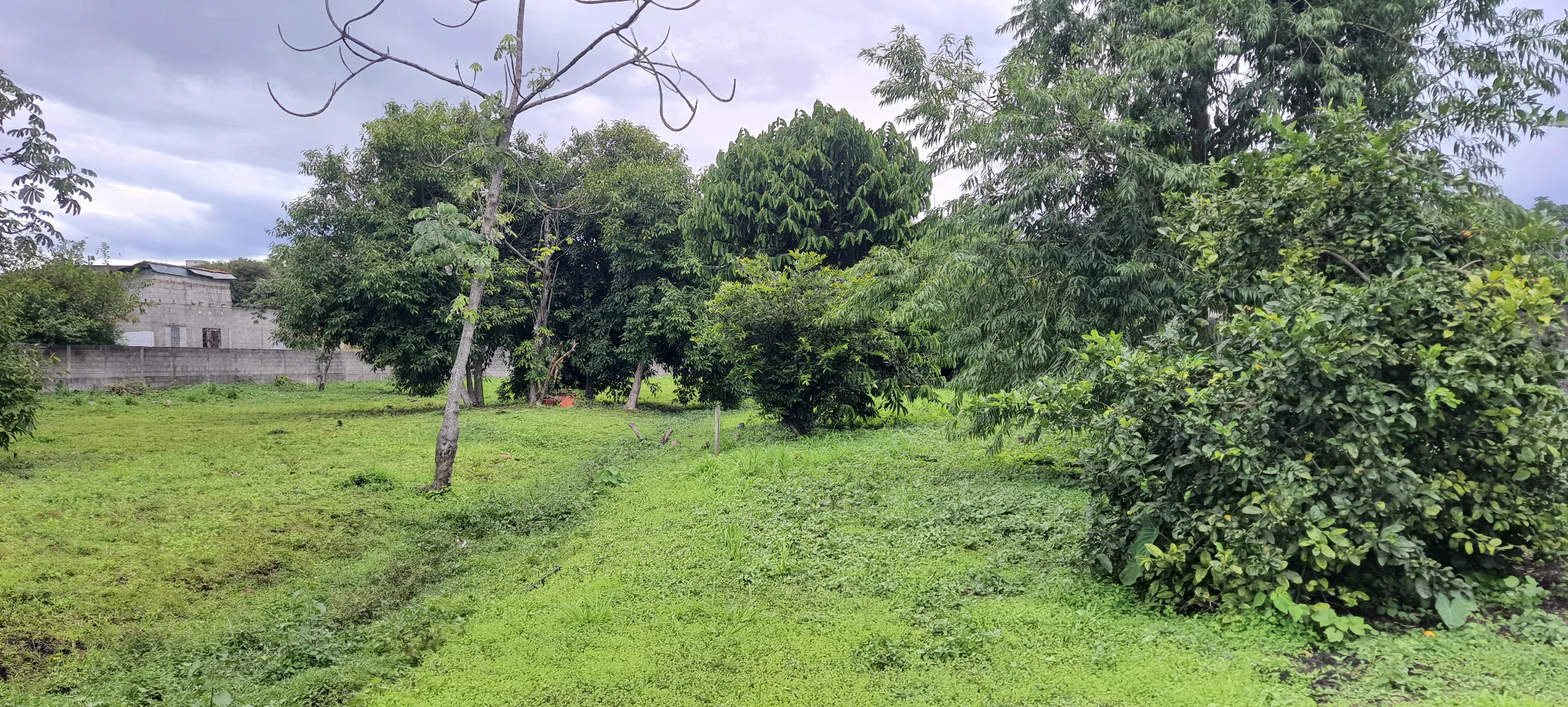 Área à venda com 7.620 m² no bairro Areão em Taubaté/SP. 