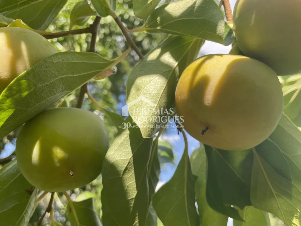 Chácara com 3 quartos, 3.901 m² - Sapé I - Caçapava/SP